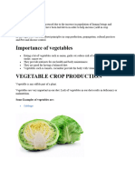 Introduction To Vegetable