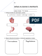 Examen Bimestral de Ciencia y Amnbiente