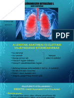 Pulmonológia I. - Dr. Szabó Hajnalka