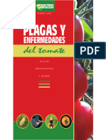 Plagas Tomato Spanish