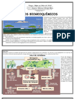 Teoría Ciclos Biogeoquímicos Excelente