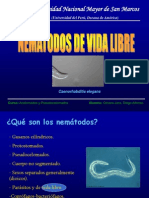 Nematodos de Vida Libre