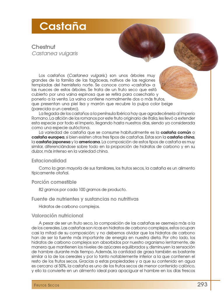 Tipos y beneficios de la castaña | PDF | Nuez | Alimentos