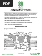 Morphology of A Dairy Cow | PDF