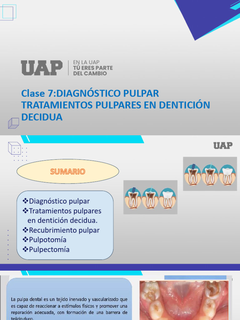 Semana 7-Reavilitacion Pulpal | PDF
