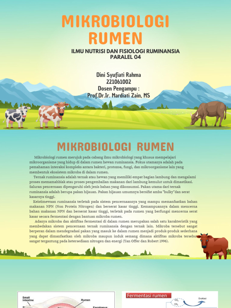 Mikrobiologi Rumen: Peran Mikroba Ruminansia | PDF