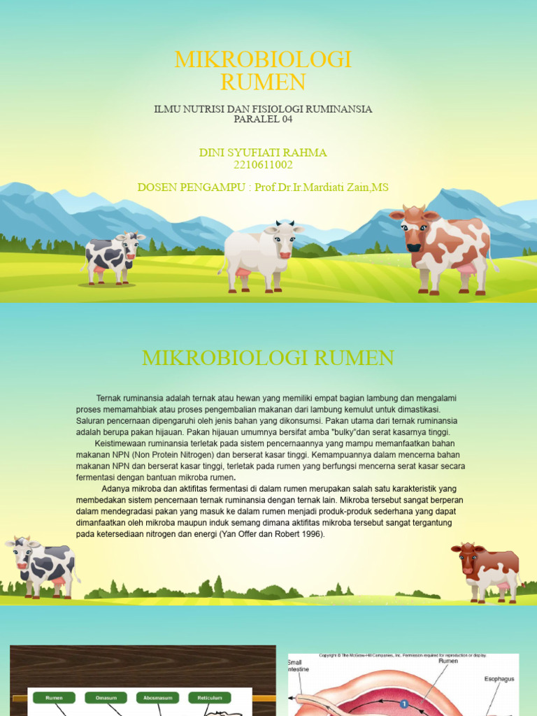 Mikrobiologi Rumen dan Nutrisi Ruminansia | PDF