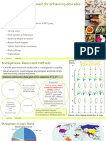 Mutagenesis Intro