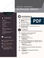 Curriculum Diego Rodriguez