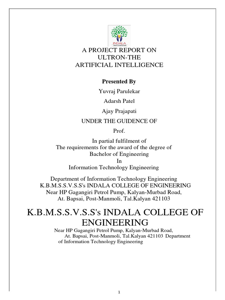 Final Python Report PDF | PDF
