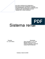 Sistema Renal