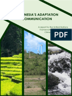 Indonesia Adaptation Communication