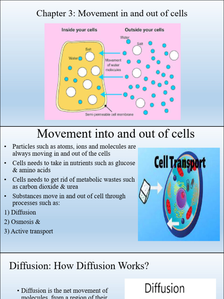 Biology Chapter3 | PDF | Osmosis | Diffusion