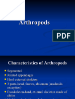 Arthropods 3