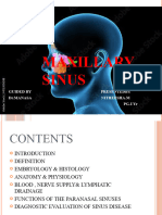  Maxillary Sinus