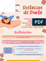 Distocias de Parto - Clinica Colombia - Cali - Valentina Echeverry Nieto