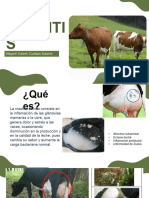 Infecc Mastitis