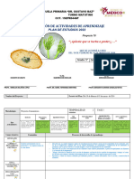 Plan Saberes Proyecto 10