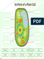 Interactive Parts of A Plant Cell