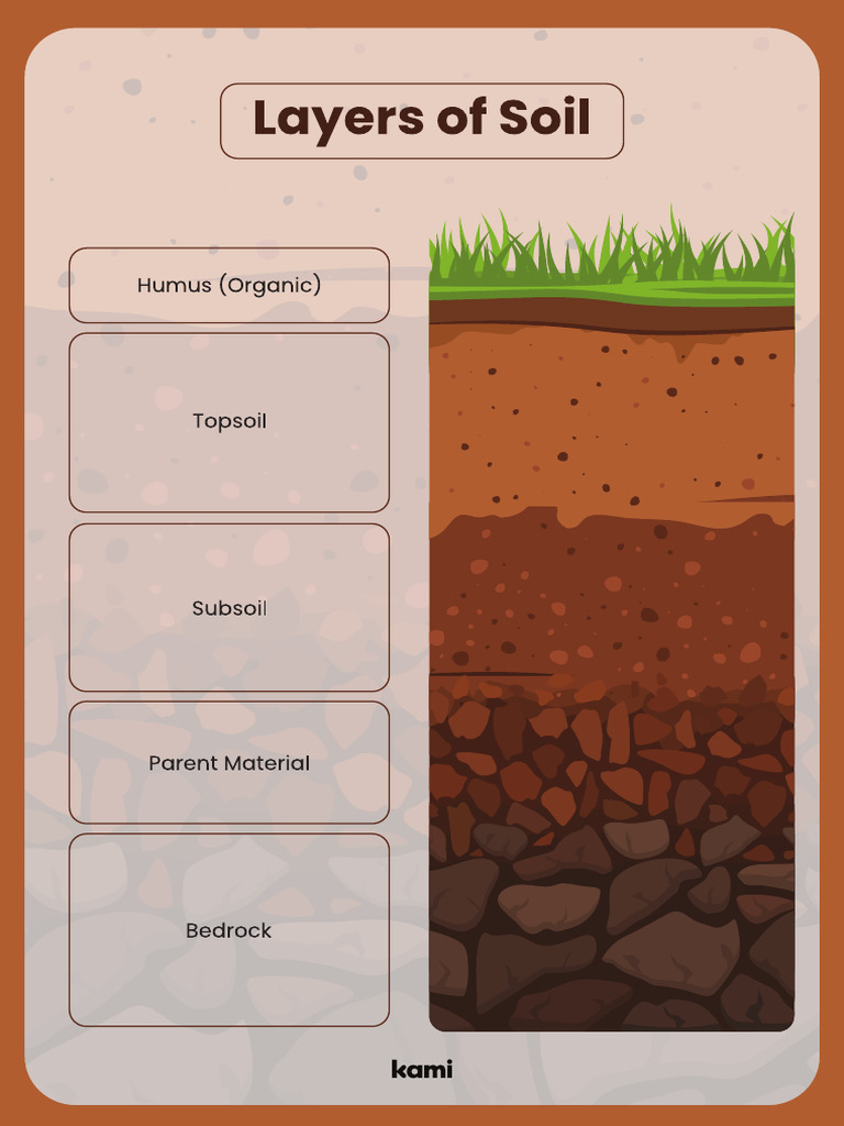 Layers of Soil | PDF