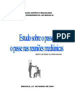 Curso de Passe - Marta Nunes Oliveira - FEB