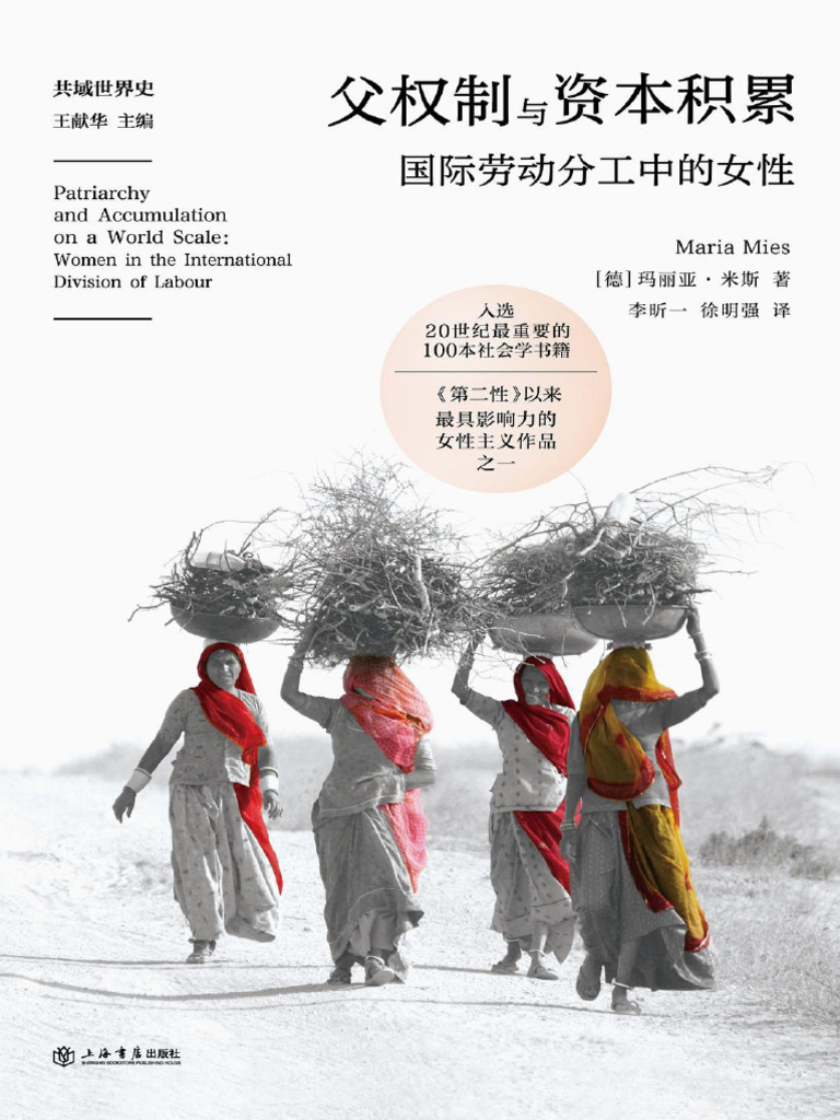 父权制与资本积累| PDF