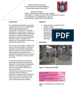 Reporte DNA XLM y MCO 4QV3 S2