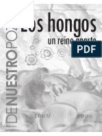 Los Hongos Un Reino Aparte