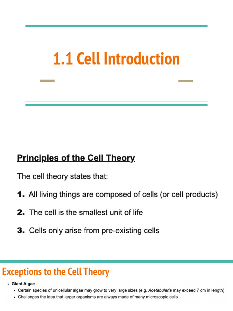 1.1 Cell Introduction | PDF