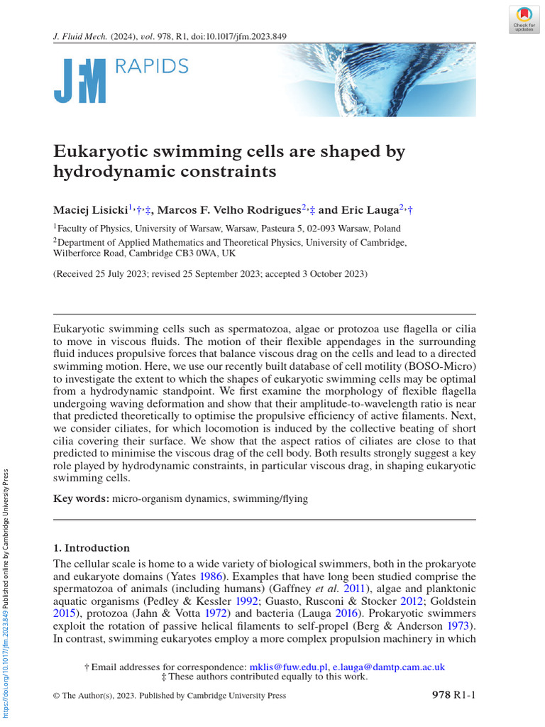 Eukaryotic Swimming Cells Are Shaped by Hydrodynamic Constraints | PDF ...