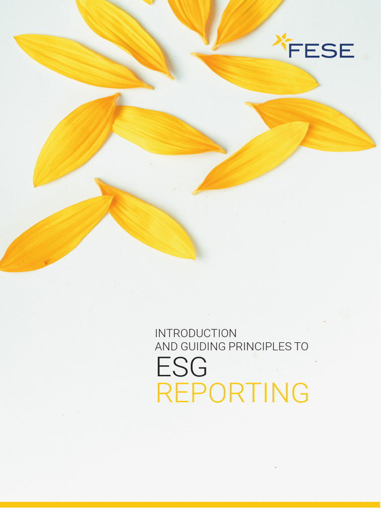 ESG Reporting Principles Guide | PDF | Sustainability | Governance
