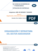 Organización y Estructura Del Sector Asegurador