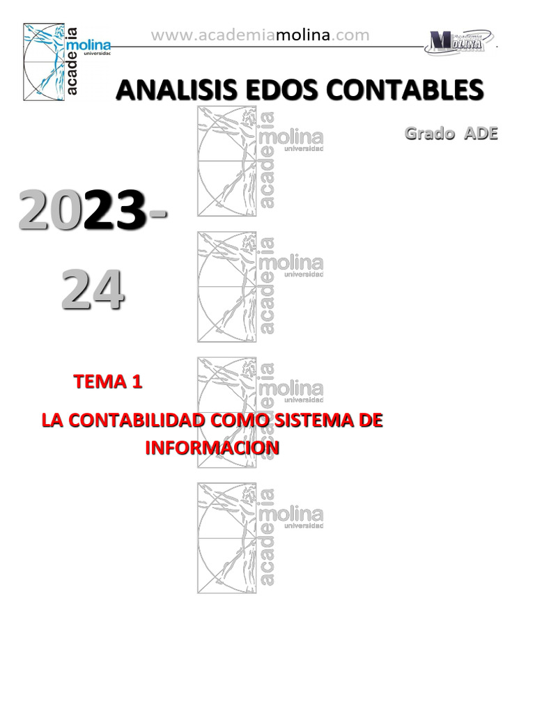 tema-1-pdf-contabilidad-estado-financiero