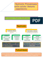 Biología - Semana 5 - Teoría