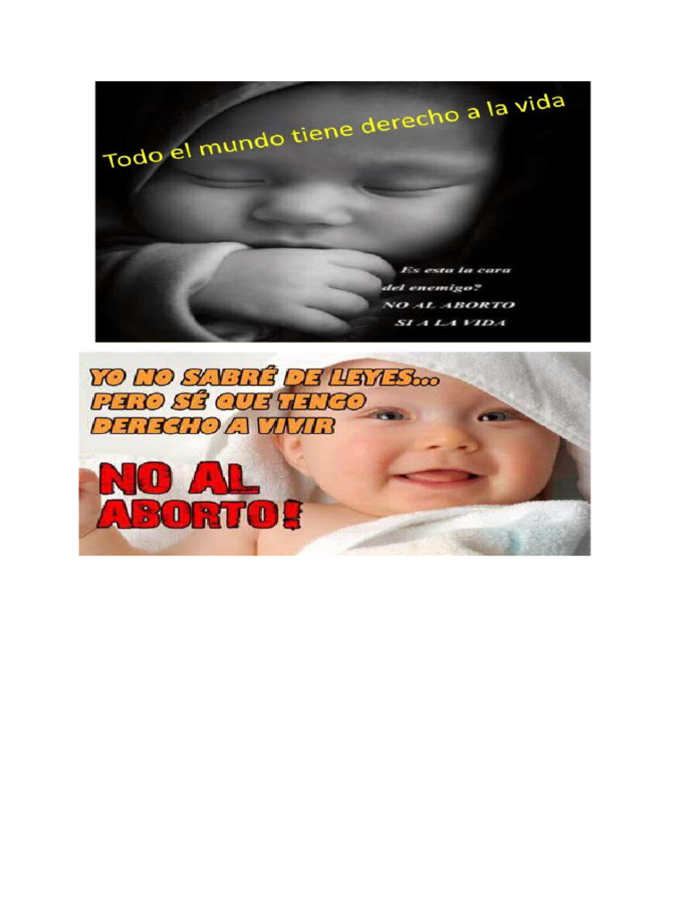 Derecho A La Vida | PDF