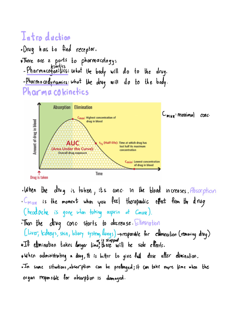 Pharmacology: Drug Absorption & Elimination | PDF | Drug Metabolism ...