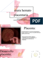 Histologia Placenta