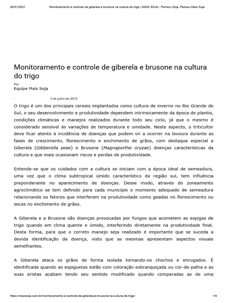 monitoramento-e-controle-de-giberela-e-brusone-na-cultura-do-trigo