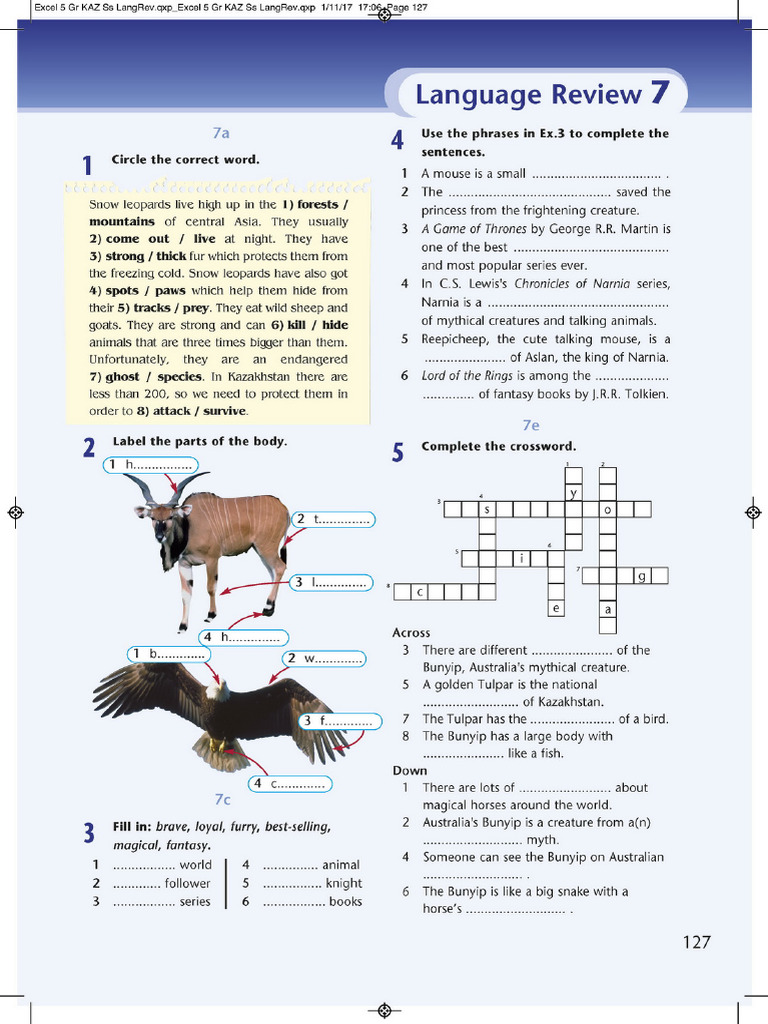 Excel Grade 5 Ss Part 6 47 Pdf
