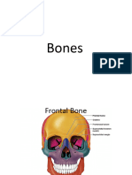 Lab For Bones