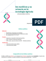 CIPA1 Acidos Nucleicos