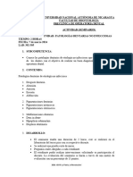 Guía de Seminario de Patologias Dentarias No Infecciosas 2024.