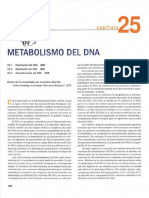 Ppios de Bioq. Cap 25