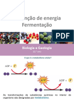 40 Obtenção de Energia - Fermentação