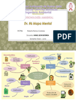 Producción de Biocombustibles Mapa Mental