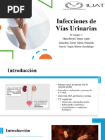 Guía de Referencia IVU | PDF | Infección del tracto urinario | Medicina ...