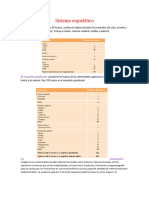 Sistema Esquelético