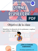 Clase 6 Sistema Respiratorio