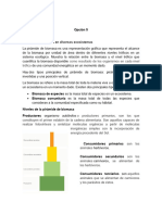 Opción 5: Pirámide de Biomasa en Diversos Ecosistemas