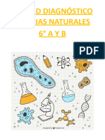 Unidad Diagnóstico Ciencias Naturales 6°